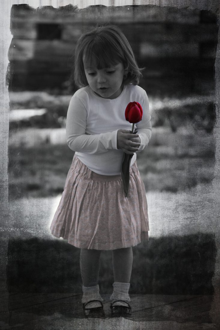 Photograph by Menachem Lehrfield