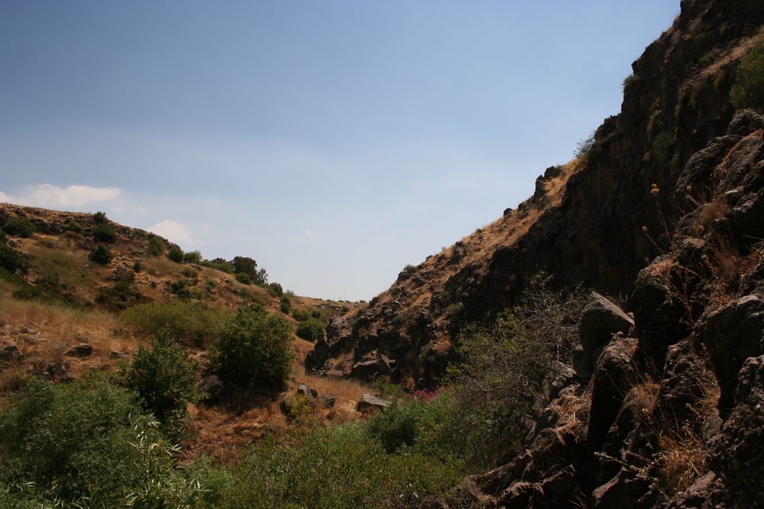 Photograph by Menachem Lehrfield