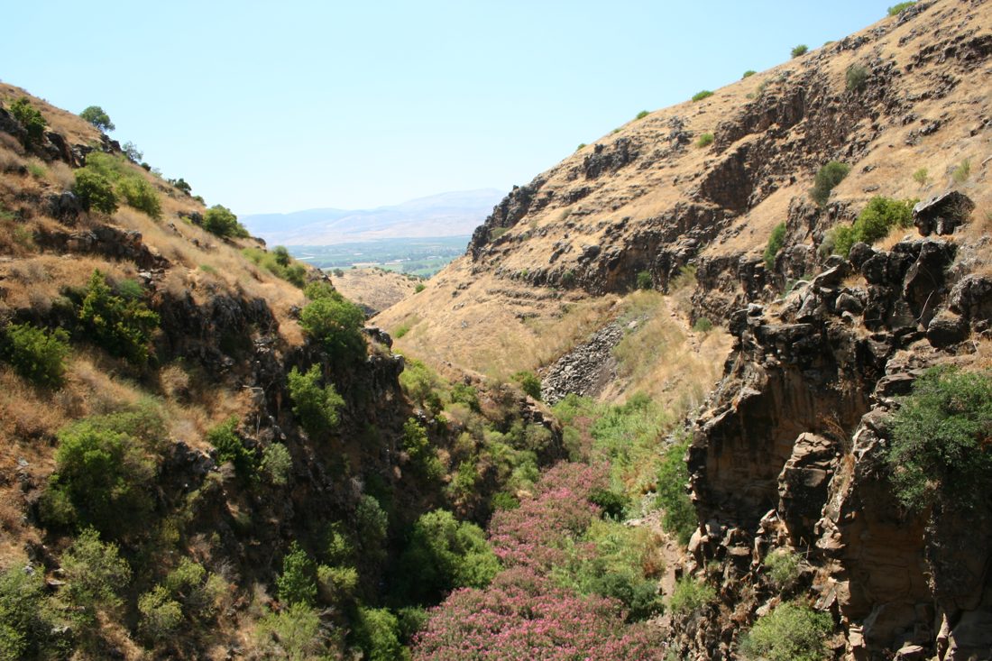 Photograph by Menachem Lehrfield
