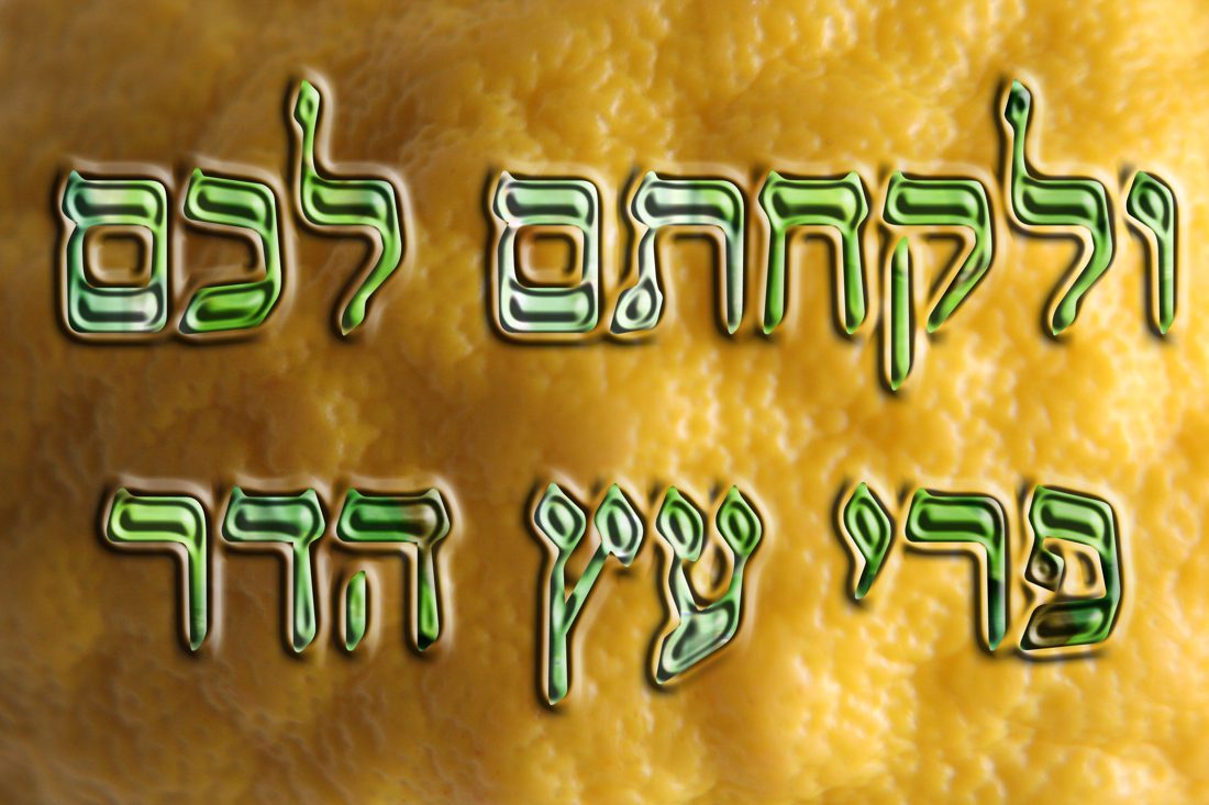 Photograph by Menachem Lehrfield