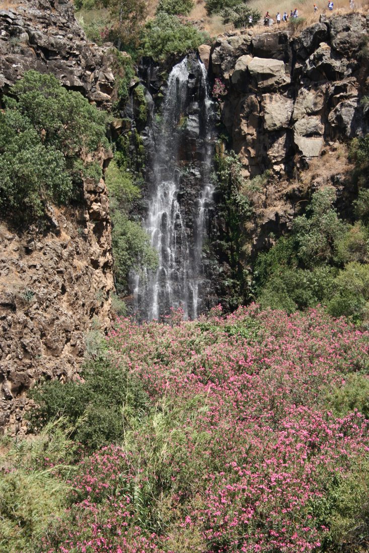 Photograph by Menachem Lehrfield