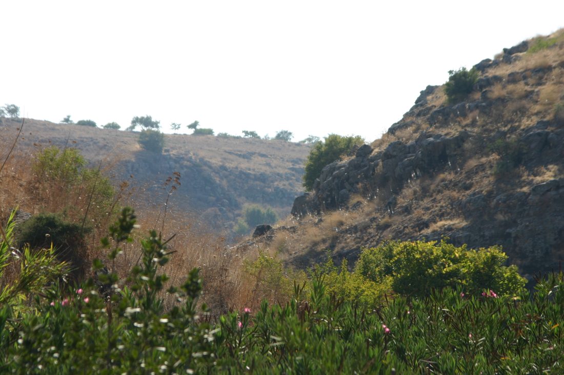 Photograph by Menachem Lehrfield
