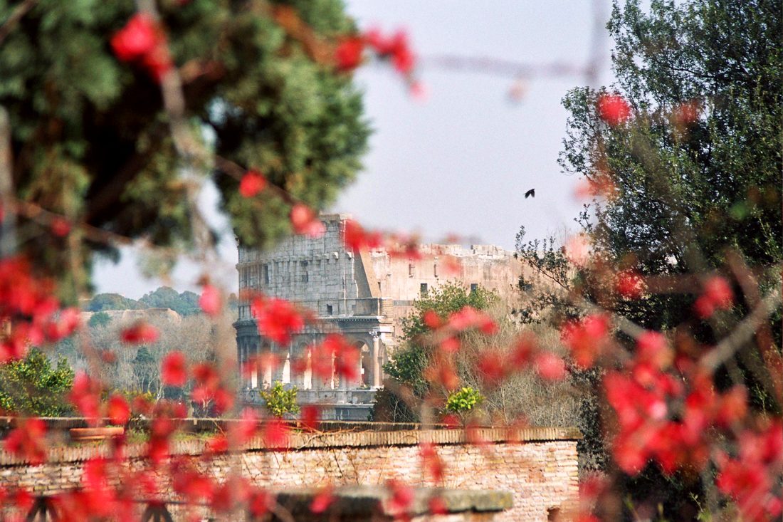 Photograph by Menachem Lehrfield