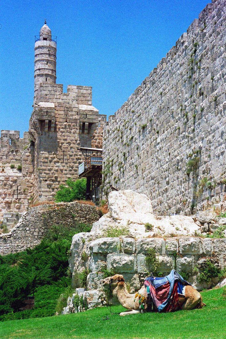 Photograph by Menachem Lehrfield
