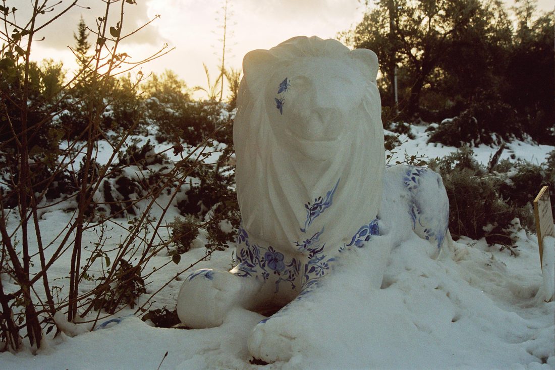 Photograph by Menachem Lehrfield